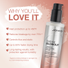 Joico Ultimate Blowout Kit
