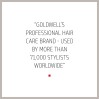 Goldwell Dualsenses Silver Conditioner