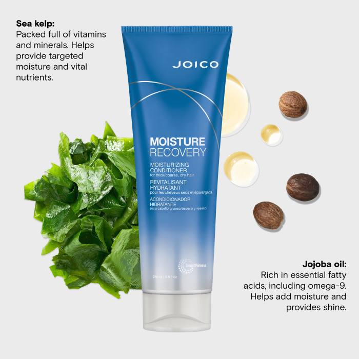 Joico Moisture Recovery Conditioner