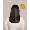 Moroccanoil Original Oil Treatment